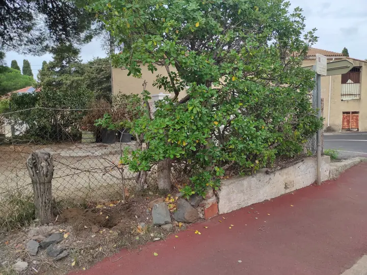 Aménagement extérieur — réalisation JoseMServices dans l'Hérault (14)